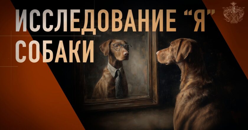 Исследование "Я" собаки